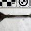 Spoon in golden colour covered with black and green marks and sea crustaceans