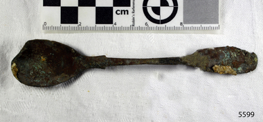 Spoon in golden colour covered with black and green marks and sea crustaceans