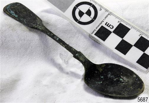Spoon in golden colour covered with black and green marks and sea crustaceans