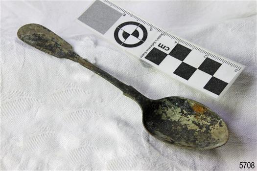 Spoon in golden colour covered with black and green marks and sea crustaceans