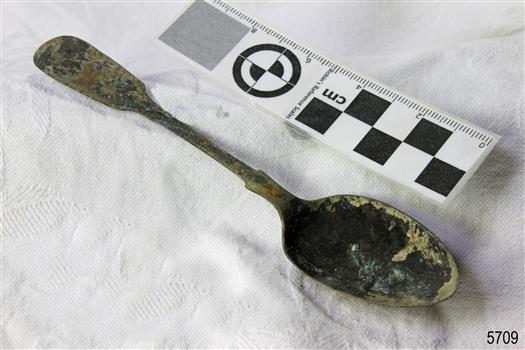 Spoon in golden colour covered with black and green marks and sea crustaceans