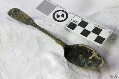 Spoon in golden colour covered with black and green marks and sea crustaceans