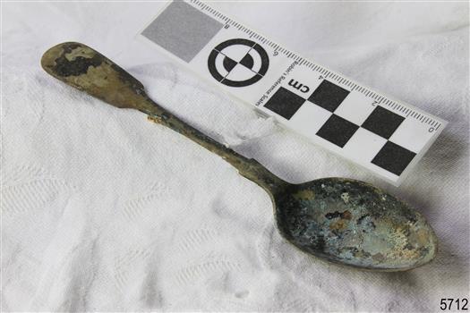 Spoon in golden colour covered with black and green marks and sea crustaceans
