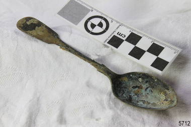 Spoon in golden colour covered with black and green marks and sea crustaceans