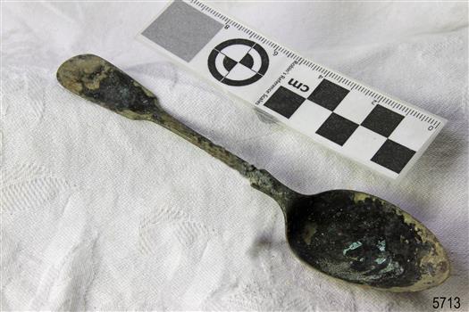 Spoon in golden colour covered with black and green marks and sea crustaceans