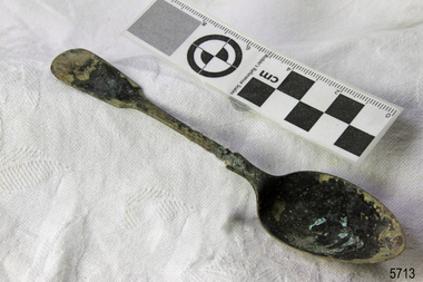 Spoon in golden colour covered with black and green marks and sea crustaceans