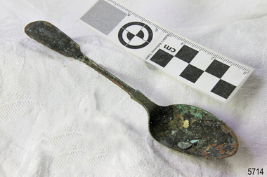 Spoon in golden colour covered with black and green marks and sea crustaceans