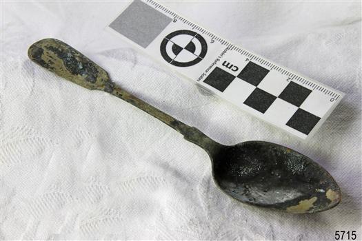 Spoon in golden colour covered with black and green marks and sea crustaceans