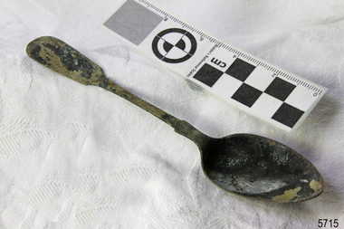 Spoon in golden colour covered with black and green marks and sea crustaceans