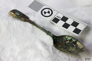 Domestic object - Spoon, circa 1878