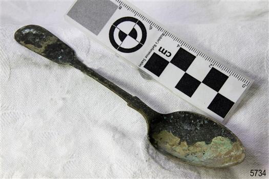 Spoon in golden colour covered with black and green marks and sea crustaceans