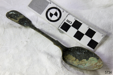 Spoon in golden colour covered with black and green marks and sea crustaceans