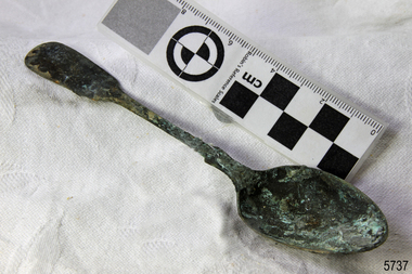 Domestic object - Spoon, circa 1878