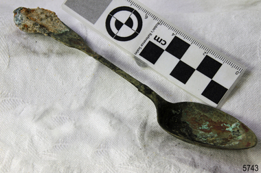 A large spoon golden in colour covered in black and green marks and sea crustaceans