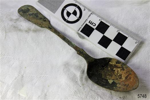 A spoon  with a golden in colour covered in black and green marks and sea crustaceans