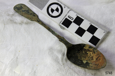 A spoon  with a golden in colour covered in black and green marks and sea crustaceans