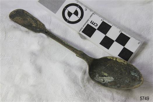 Spoon in golden colour covered with black and green marks and sea crustaceans