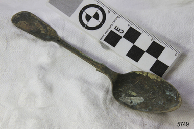 Spoon in golden colour covered with black and green marks and sea crustaceans