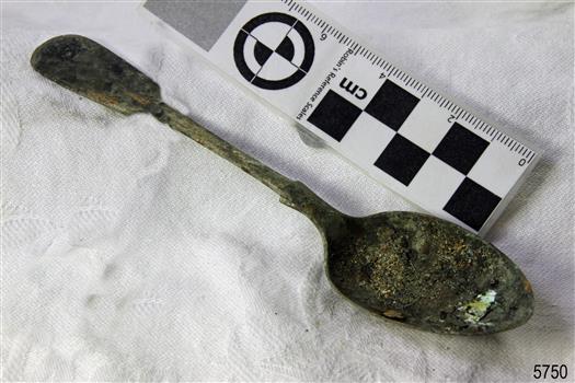 Spoon in golden colour covered with black and green marks and sea crustaceans