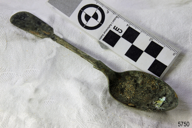 Spoon in golden colour covered with black and green marks and sea crustaceans