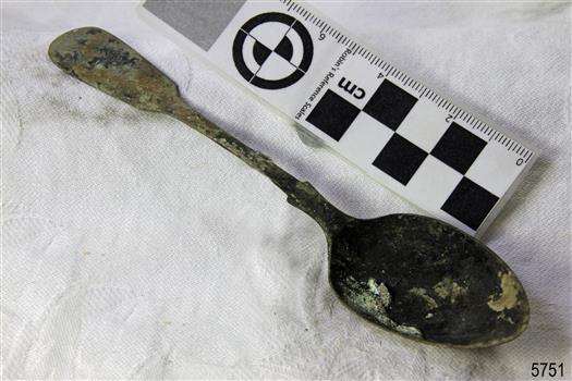 Spoon in golden colour covered with black and green marks and sea crustaceans