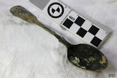 Spoon in golden colour covered with black and green marks and sea crustaceans