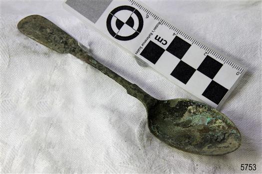 Spoon in golden colour covered with black and green marks and sea crustaceans