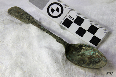 Spoon in golden colour covered with black and green marks and sea crustaceans