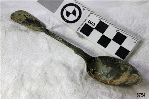 Spoon in golden colour covered with black and green marks and sea crustaceans