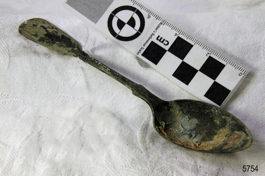 Spoon in golden colour covered with black and green marks and sea crustaceans