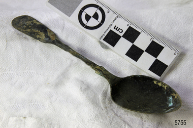 Spoon in golden colour covered with black and green marks and sea crustaceans