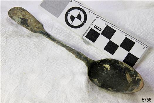 Spoon in golden colour covered with black and green marks and sea crustaceans