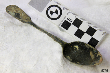 Spoon in golden colour covered with black and green marks and sea crustaceans