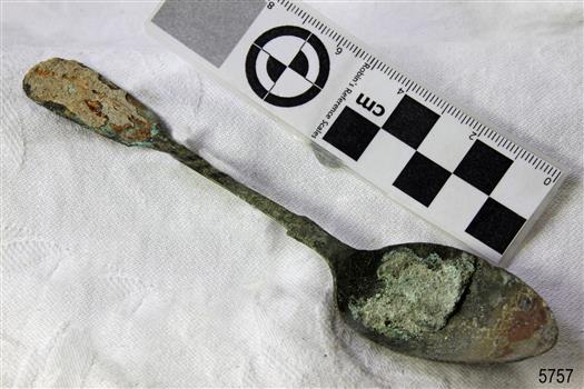 Spoon in golden colour covered with black and green marks and sea crustaceans