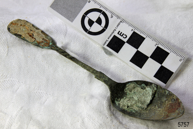 Spoon in golden colour covered with black and green marks and sea crustaceans