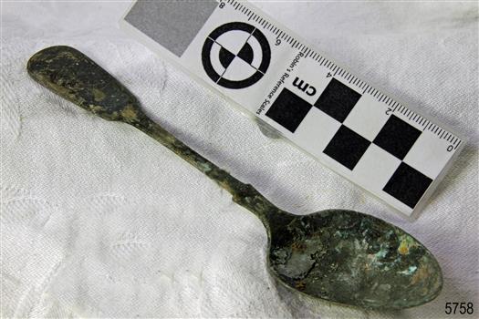 Spoon in golden colour covered with black and green marks and sea crustaceans