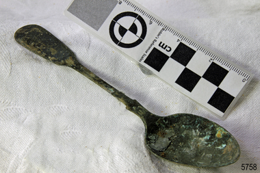 Spoon in golden colour covered with black and green marks and sea crustaceans