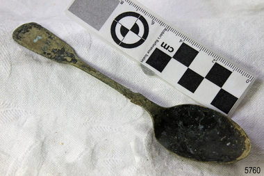 Spoon in golden colour covered with black and green marks and sea crustaceans