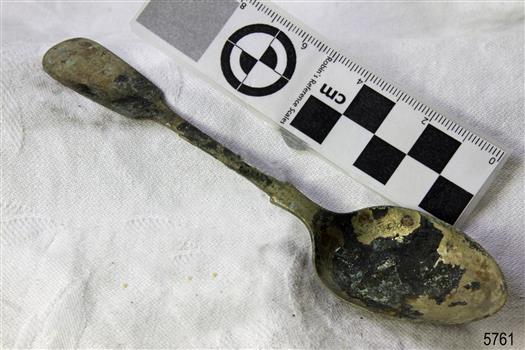 Spoon in golden colour covered with black and green marks and sea crustaceans