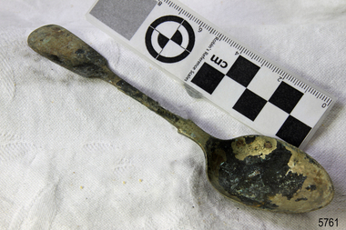 Spoon in golden colour covered with black and green marks and sea crustaceans