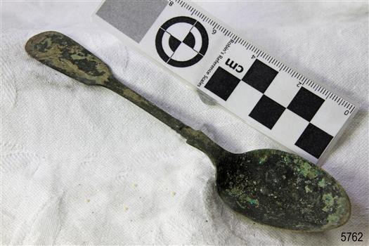 Spoon in golden colour covered with black and green marks and sea crustaceans