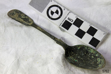 Spoon in golden colour covered with black and green marks and sea crustaceans