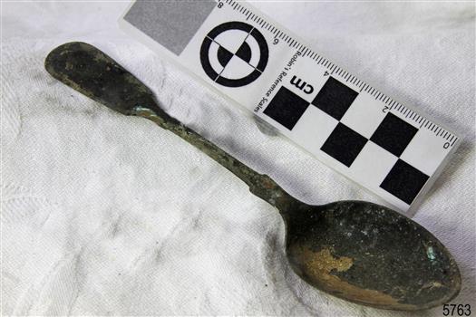 Spoon in golden colour covered with black and green marks and sea crustaceans