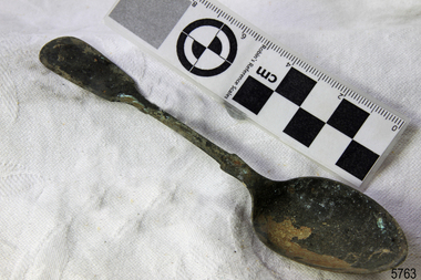 Spoon in golden colour covered with black and green marks and sea crustaceans