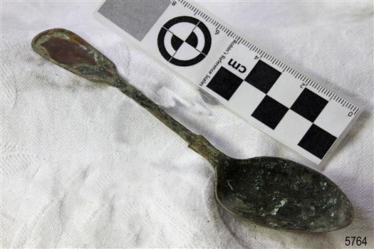 Spoon in golden colour covered with black and green marks and sea crustaceans