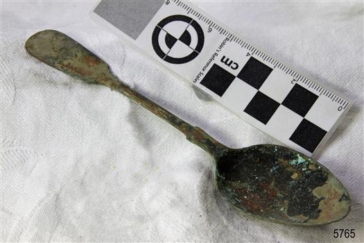 Spoon in golden colour covered with black and green marks and sea crustaceans