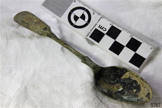 Spoon in golden colour covered with black and green marks and sea crustaceans