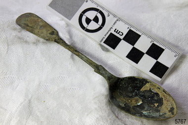 Spoon in golden colour covered with black and green marks and sea crustaceans