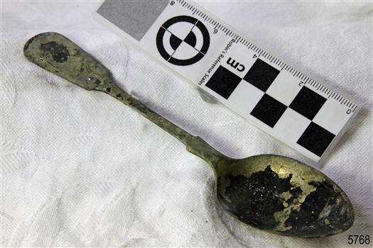 Spoon in golden colour covered with black and green marks and sea crustaceans