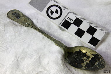Spoon in golden colour covered with black and green marks and sea crustaceans